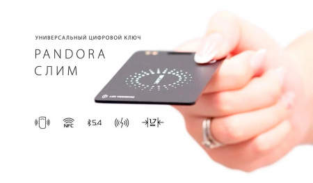 НФ-00004537-1